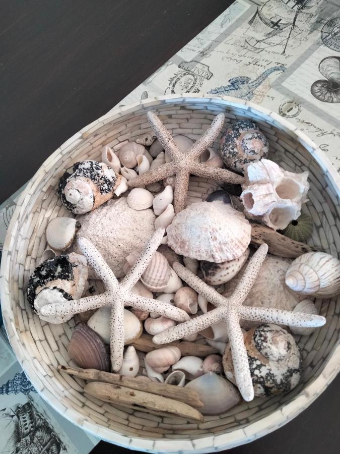 הוילה גנסבאי Perel Of Perlemoenbaai מראה חיצוני תמונה